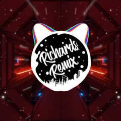 Alan Walker, K-391, Boy in Space - Paradise (Richards Remix)