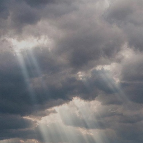 unnamed malibu x debit song