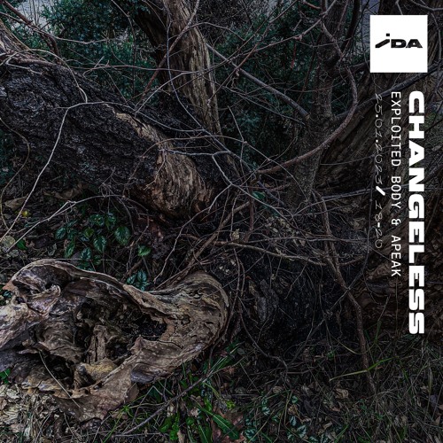 IDA Radio: Changeless w/ Exploited Body & APEAK - 25th January 2023