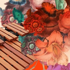 "Caught In The Act" - Marimba Demo