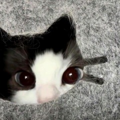 毎日ナーバス(Frameflow)