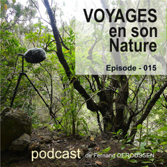 VSN015_TENERIFFE_F Deroussen
