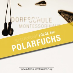 #9 Polarfuchs - Dorfschule Montessorihaus