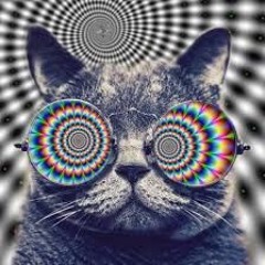 DJ VORTEX DJ LSD VOL.11