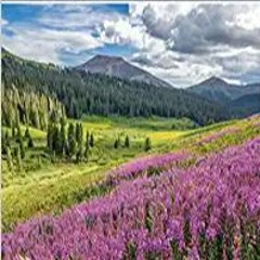 DOWNLOAD ⚡️ eBook John Fielder's Colorado 2023 Scenic Engagement Calendar Full Audiobook