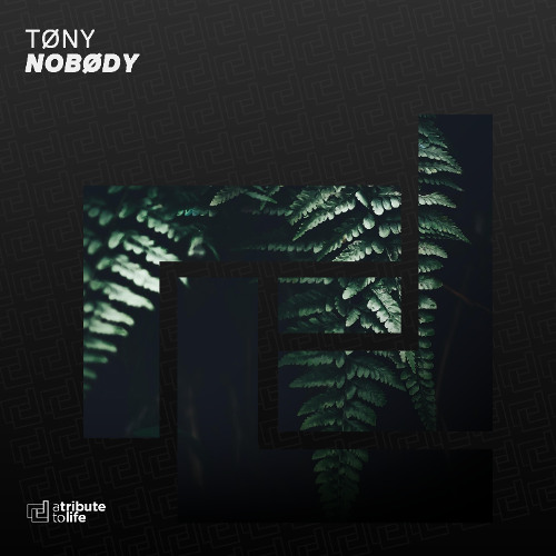 TØNY - Nobødy [A TRIBUTE TO LIFE (BLACK HOLE)]