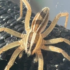 Perry Point VA Medical Center 30.m4a