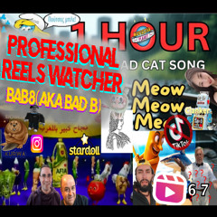 PROFESSIONAL REELS WATCHER - BAB8 AKA BAD B