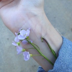 ❥ Kpop Soft Playlist (chill - Study)