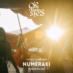 Numeraki  - OE-AA-SIES - Tuesday Afternoon @ Afrikaburn 2025