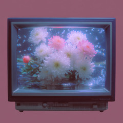 Static Bloom