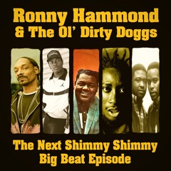 Ronny Hammond & The Ol' Dirty Doggs - The Next Shimmy Shimmy Big Beat Episode (SHORT VERSION)