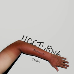 Nocturna - Pigmental (Original Mix)