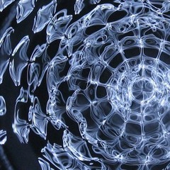 Quantum Vacuum & Paraphonic - Architects Of Cymatics