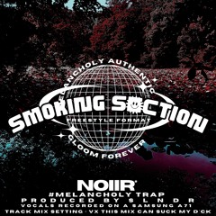 SMOKING SECTION(PROD.S L N D R)