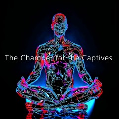 THE CHAMBER FOR THE CAPTIVES FEATURING SEAN HAMILTON