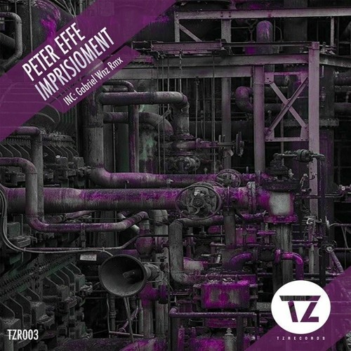 Peter Effe - THC (Gabriel Wnz Rmx)[Techno Zone Records] - CUT