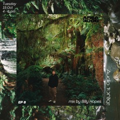 Audio Forage w BIlly Hopes - 15 October 2024