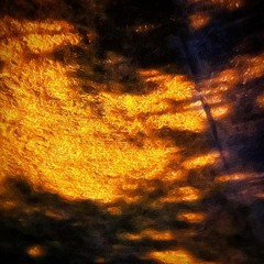 strange hue (2022)