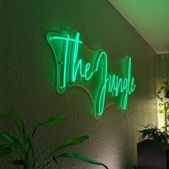 SeekArt012 (Summer 2024 Grooves @ The Jungle)