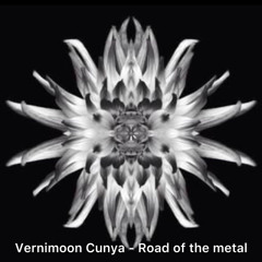 Vernimoon Cunya - Road of the metal