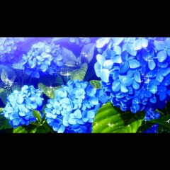 Roses & Violets (ft. Jokrtherapper)