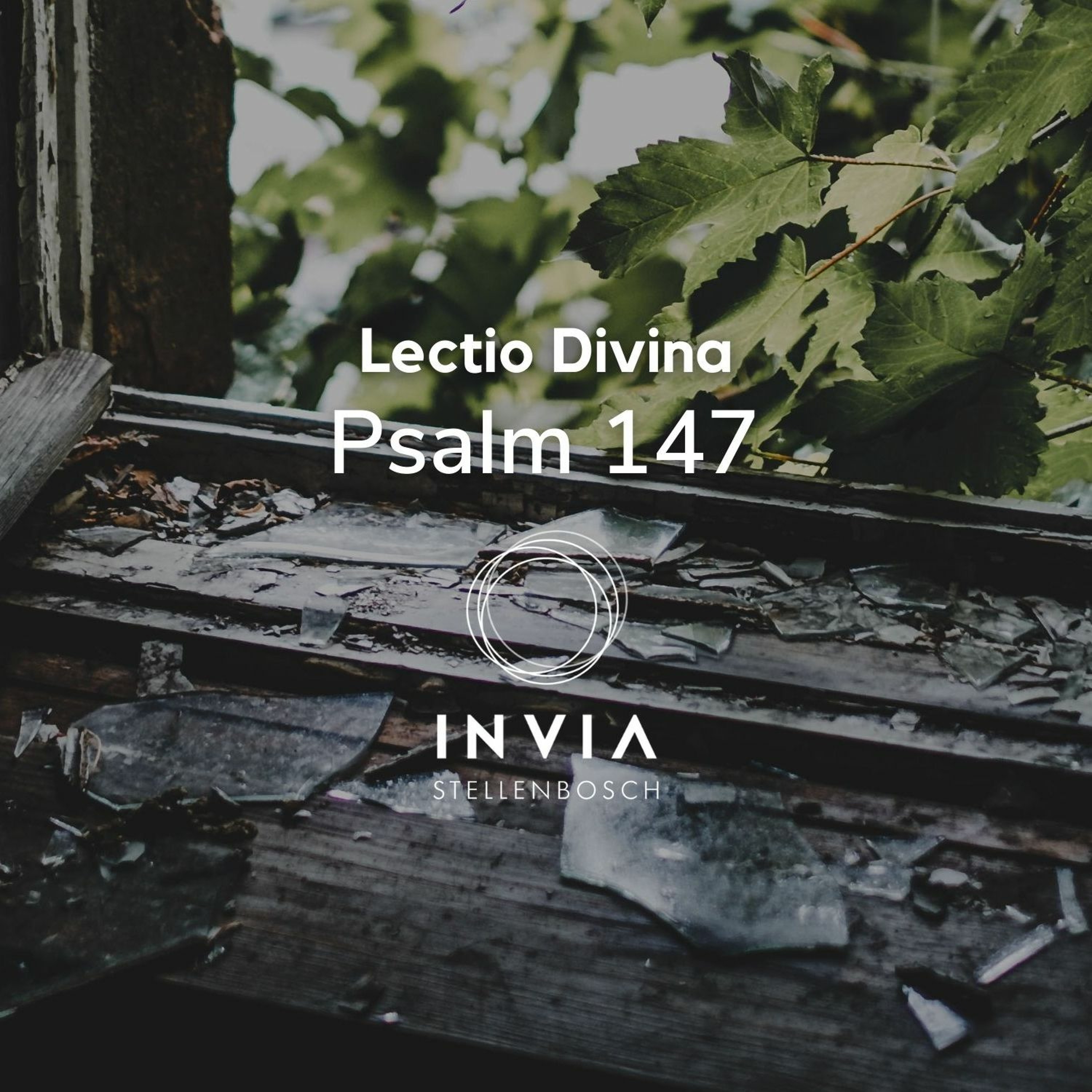 Begeleide Meditasie: Lectio Divina met Psalm 147
