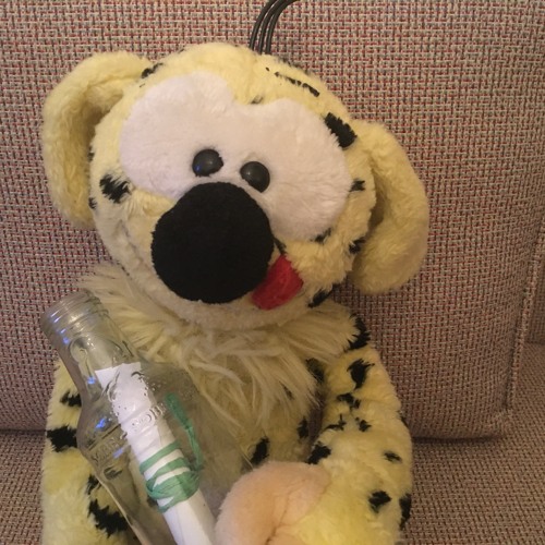 Message in a bottle