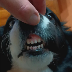 dj k-nuto sesion 8 junio depedida noel 4