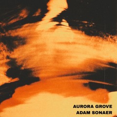 Aurora Grove