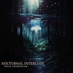 Nocturnal Interlude