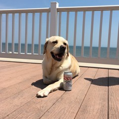 Dune Days