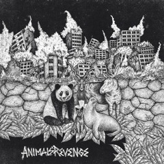 ANIMALS REVENGE - SONIC [SPLIT W/ CANIDOS 2022]