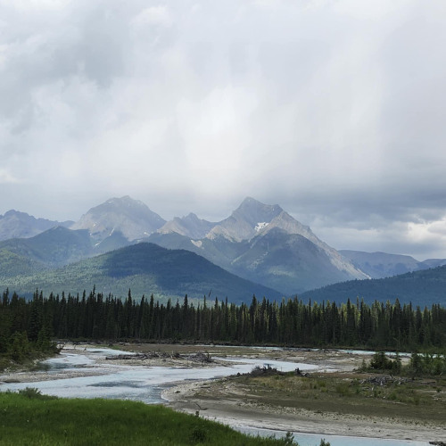 I'll run wherever the winds blow