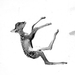 Lonely Beast (Rehearsal Version)