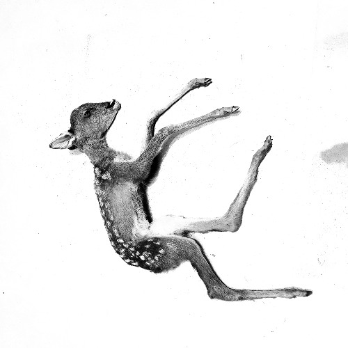 Lonely Beast (Rehearsal Version)