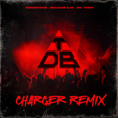 Triangle Des Bermudes - Charger (Zortness Afro Remix)