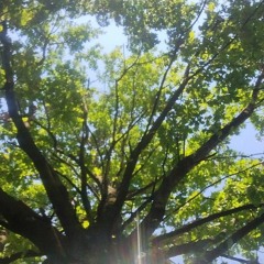 töRTûræ💋💋 feat ppier (ppier)