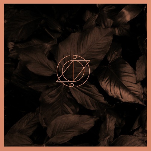 CRUSHCODE - BACKDAWN