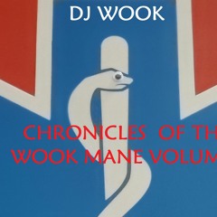 Chronicles Of The Wook Mane Volume 1