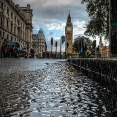 Rainy Morning