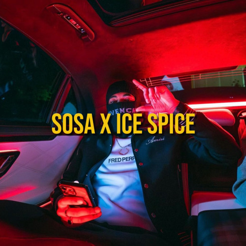 Sosa La M x Ice Spice (DNA Remix)