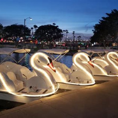 Review Special Price Illuminated Swan Boat Night Ride On Rainbow Lagoon