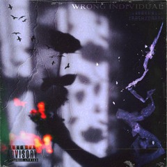 Wrong Individual (Prod. Ryini)