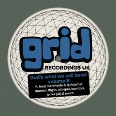 JDNB Feature - Untrue - Rudeboy (L0G1N RMX) [Grid Recordings]