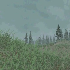 A Clearing