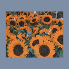 sunflower - heya (demo)