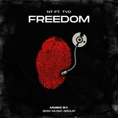 Freedom - NT ft. TVD Remix (Final)