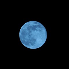 Moonlight Whispers