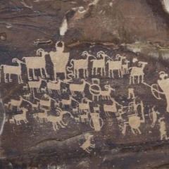 c'est contre toi que j'ai vécu